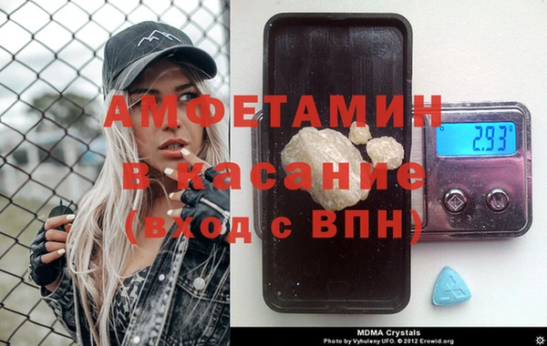 шишки Арсеньев