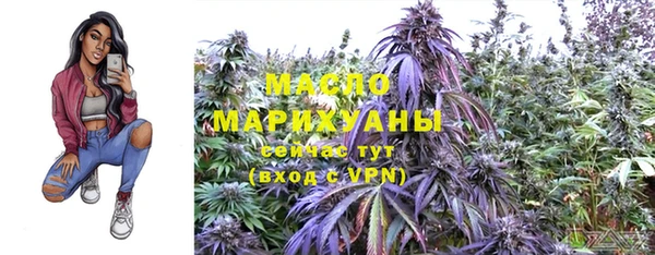 шишки Арсеньев
