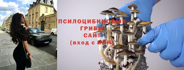 шишки Арсеньев