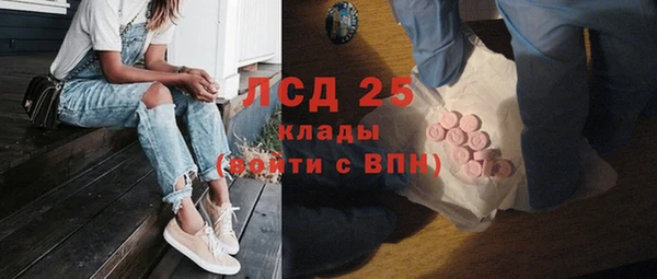 ПСИЛОЦИБИНОВЫЕ ГРИБЫ Покров